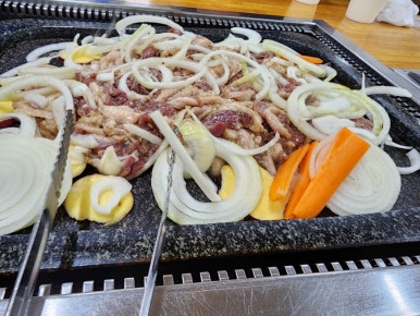 황금오리 이미지