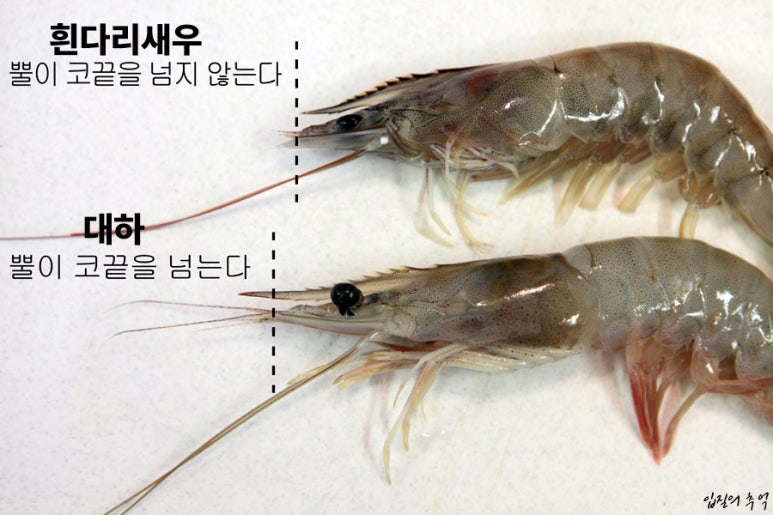 진성횟집 이미지