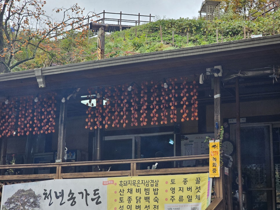 와운가든 이미지