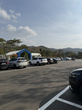 카페고래 이미지
