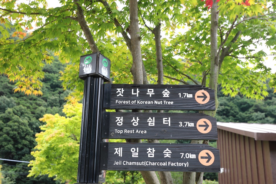 산민박 이미지