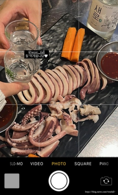 지윤육회연어 이미지