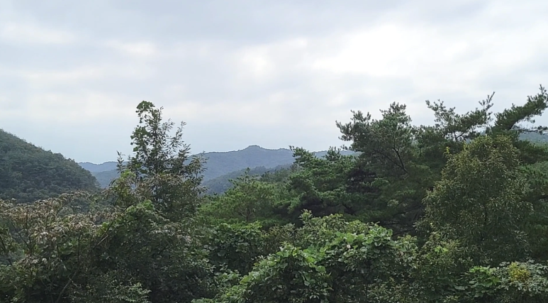 정승상사 이미지