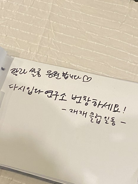 재재수선 이미지