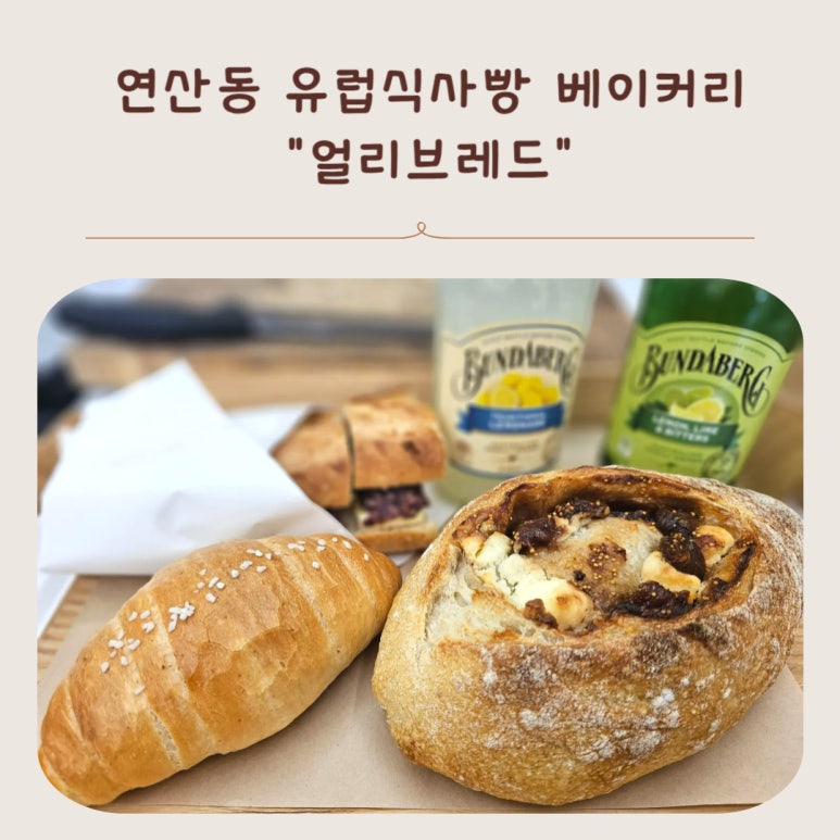 얼리브레드 이미지