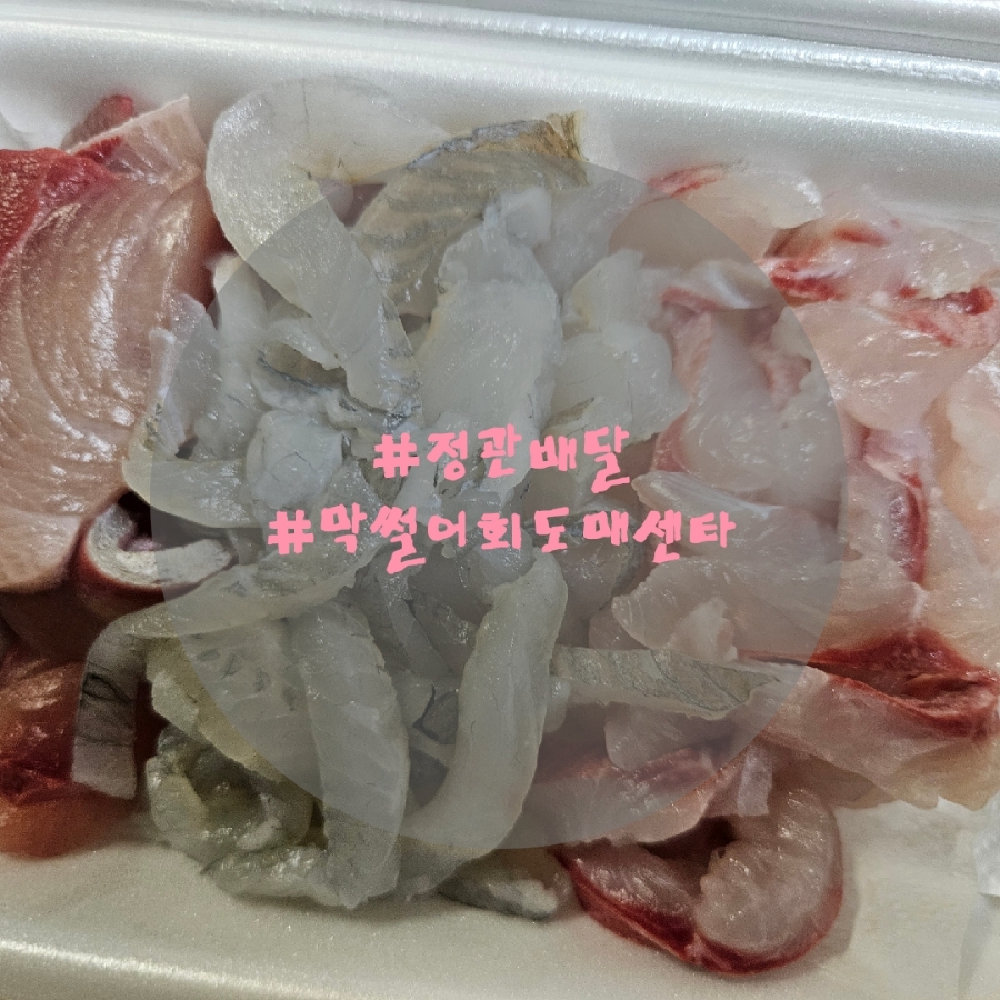 막썰어회도매센타 이미지