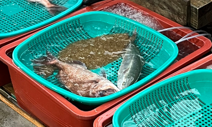 다림횟집 이미지