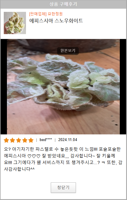 묘한정원 이미지