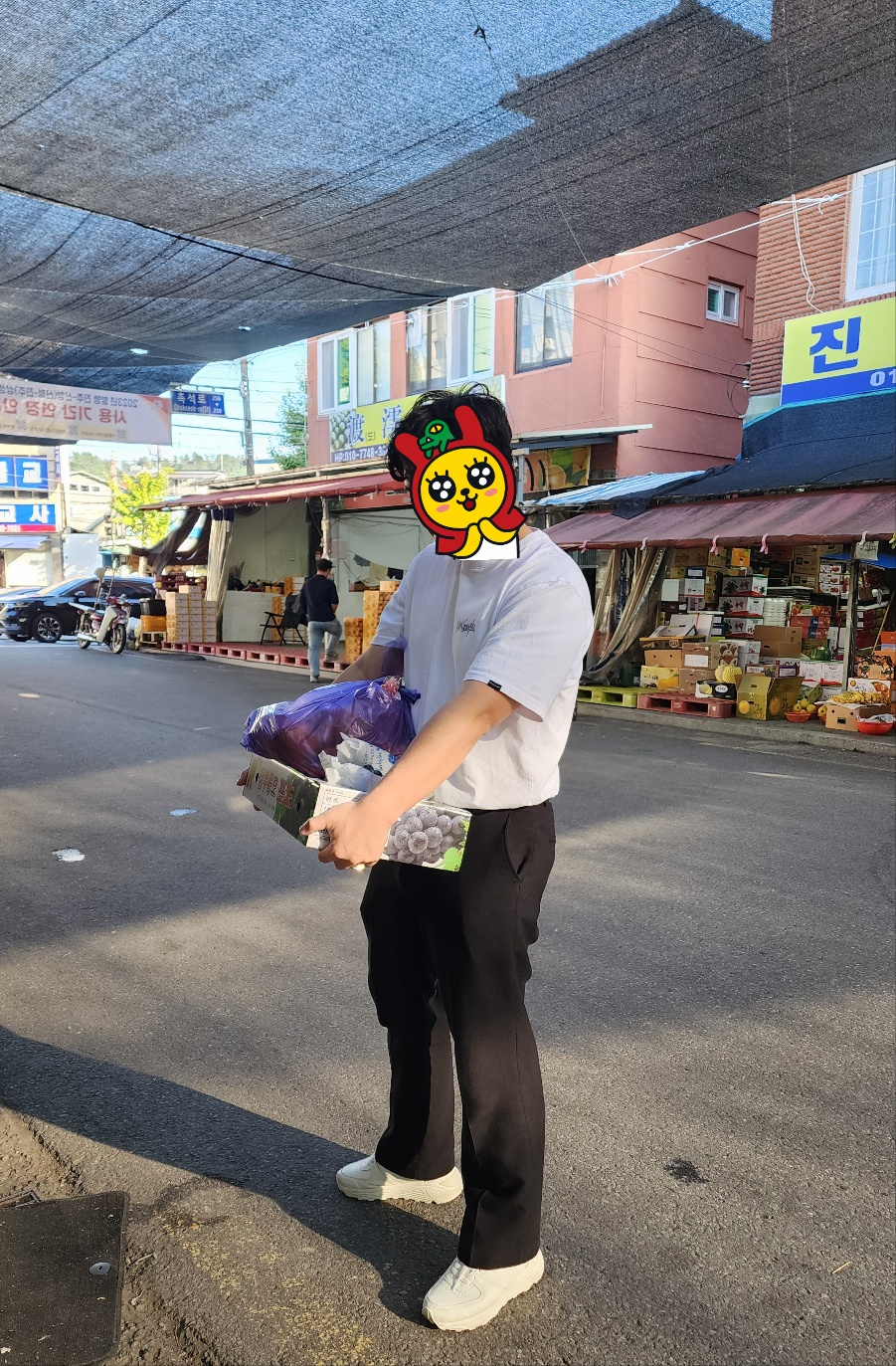 보람청과 이미지