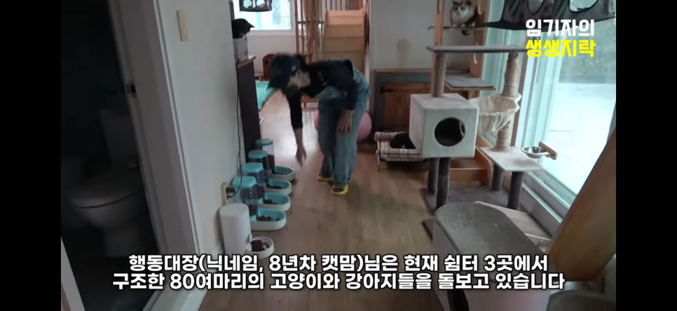 묘한당 이미지