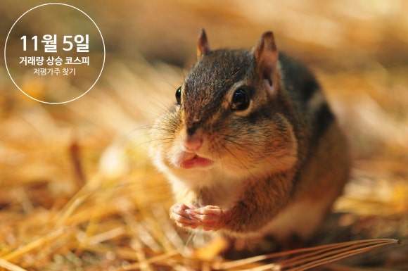 지에프코퍼레이션 이미지