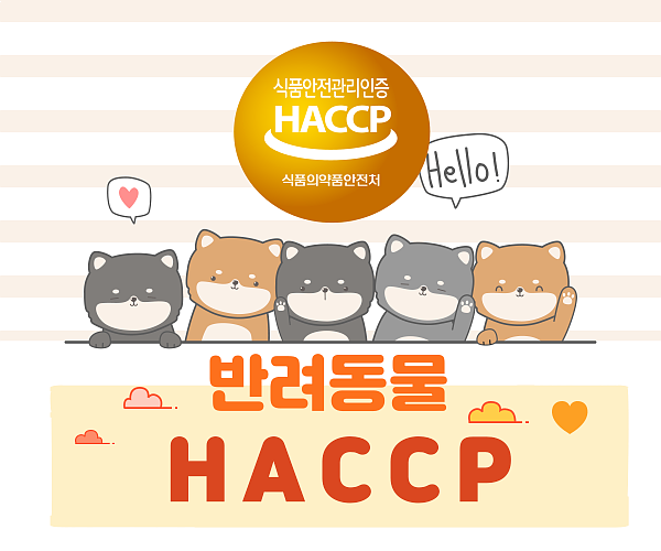 행정사이선동사무소 이미지