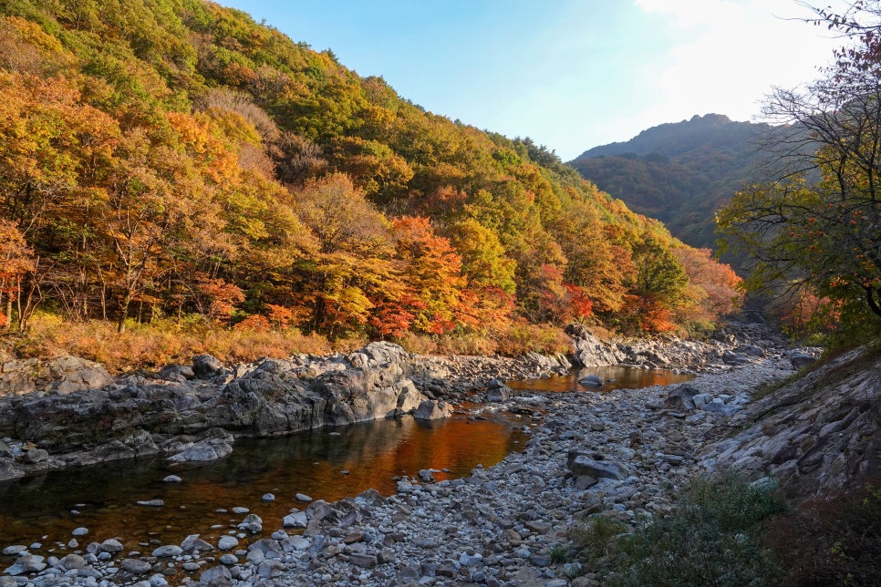 남원지리산 이미지