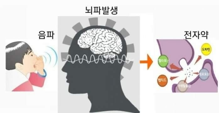 (주)브레인온 이미지