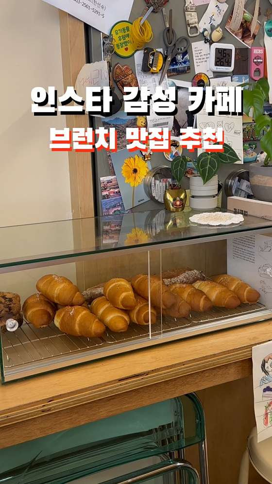 써니플 이미지