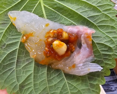 신안천사수산 이미지