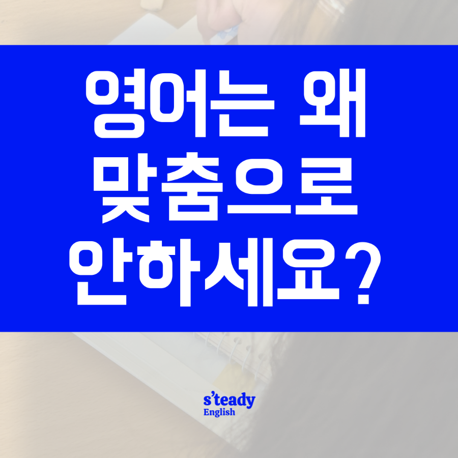 스테디잉글리쉬학원 이미지