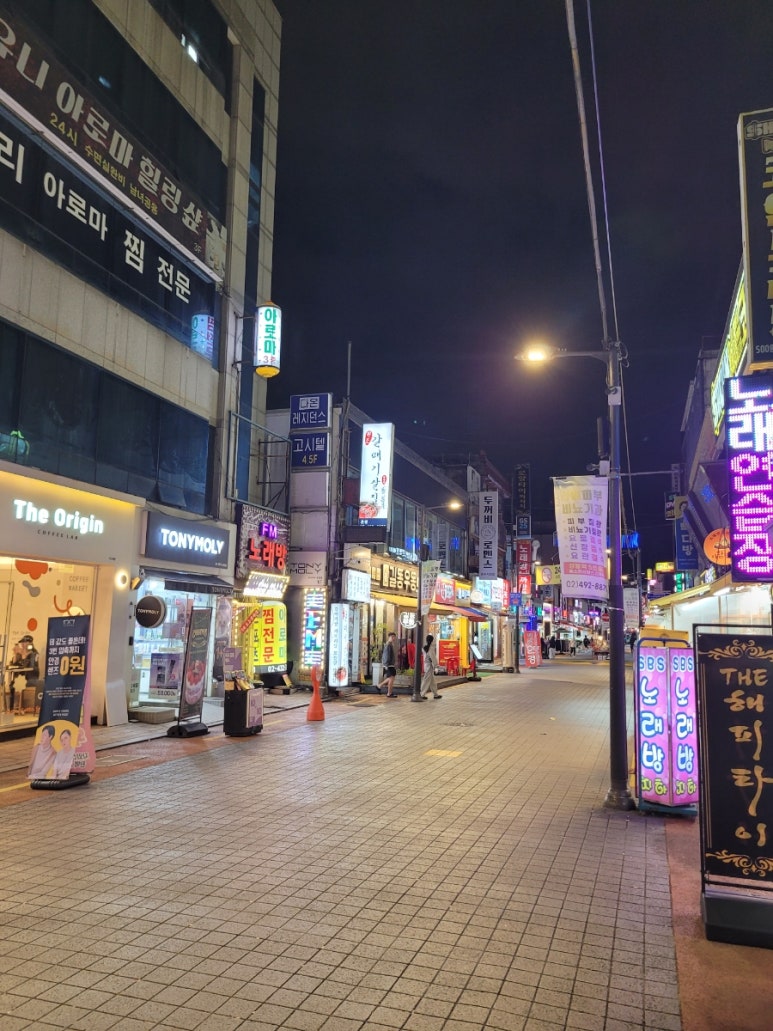 동부갈매기 이미지