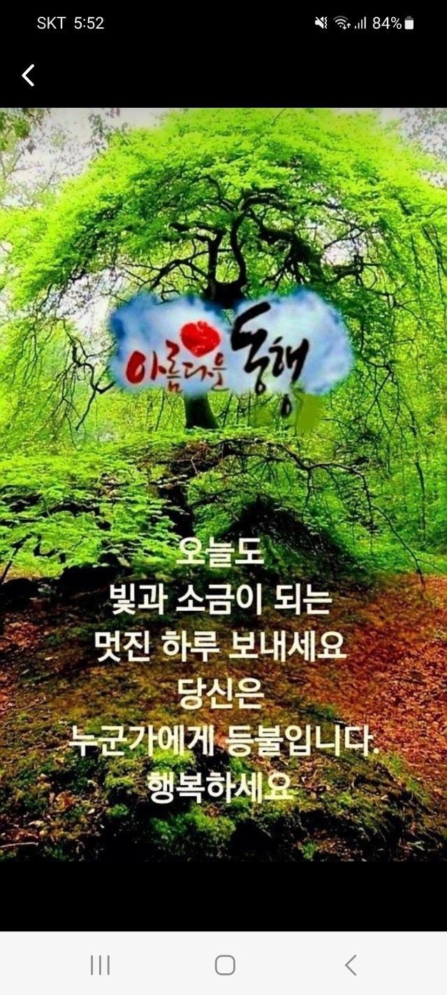 낭만포차한식점심부페 이미지