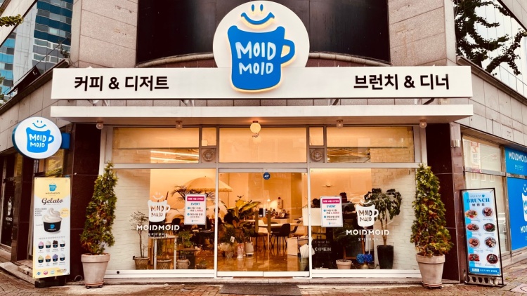 모이드모이드 이미지
