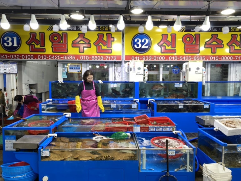 신일수산 이미지