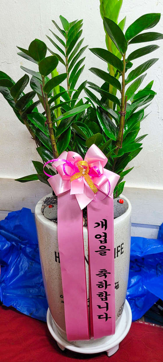 식물꽃나라 이미지