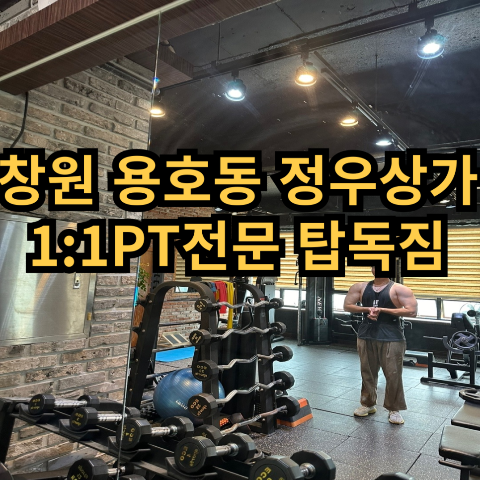 탑독짐 이미지