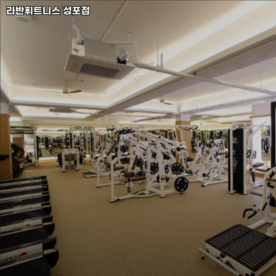라반휘트니스 이미지