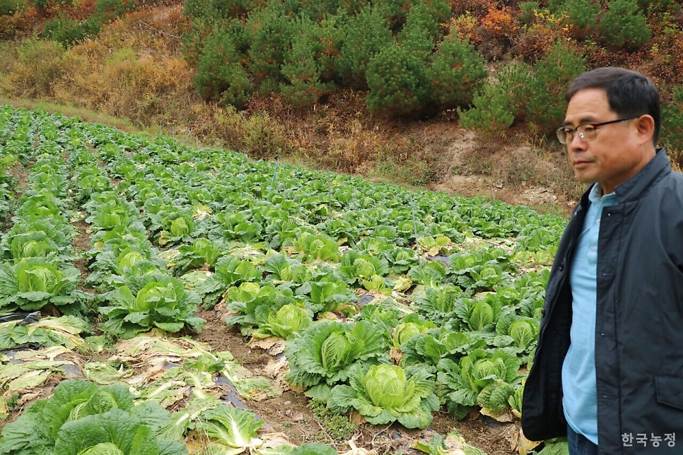평창가농영농조합법인 이미지