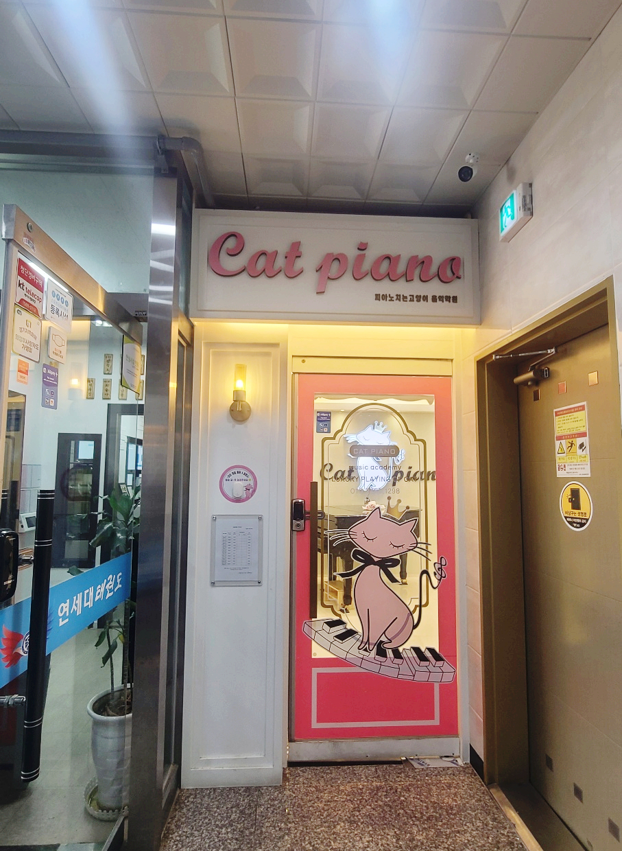 피아노치는고양이학원 이미지