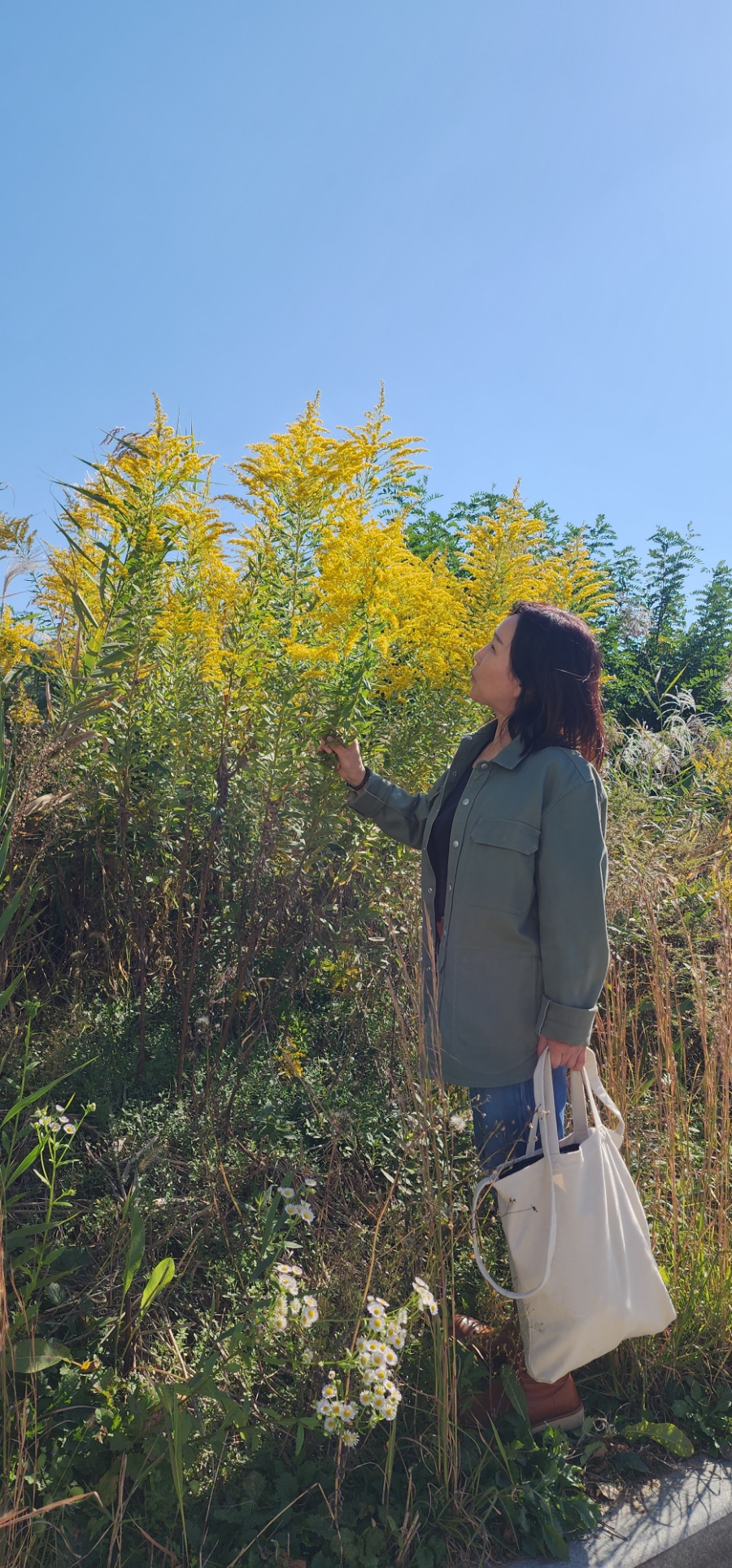 막스시오전주 이미지