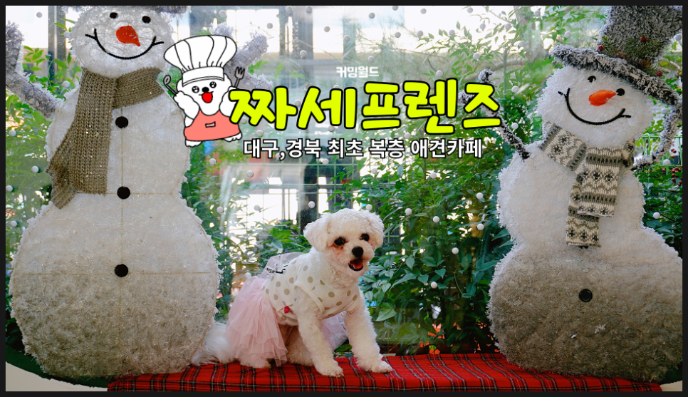 짜세프렌즈 이미지