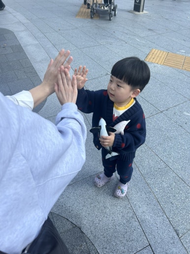 파티세리러츠 이미지