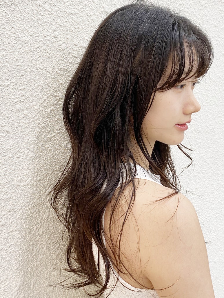 아브헤어 이미지