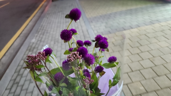 아르화 이미지