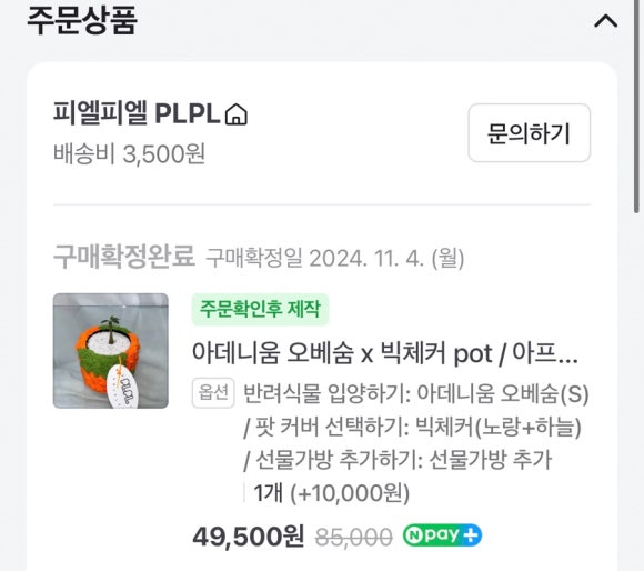 피엘피 이미지