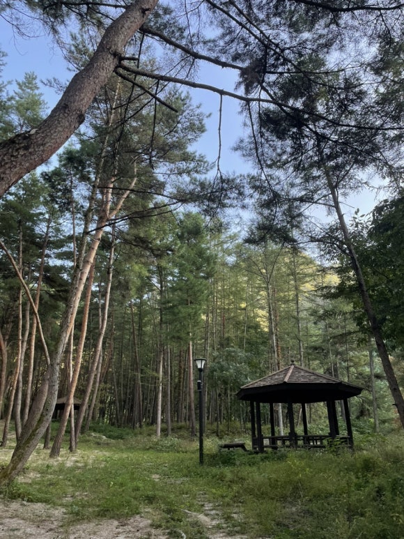 소백산국립공원 삼가천동코스 이미지