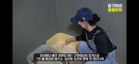 묘한당 이미지