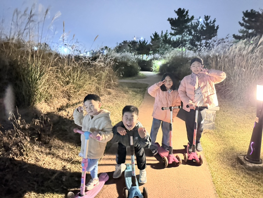 타요캠핑장 이미지