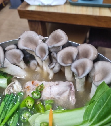곤원 이미지