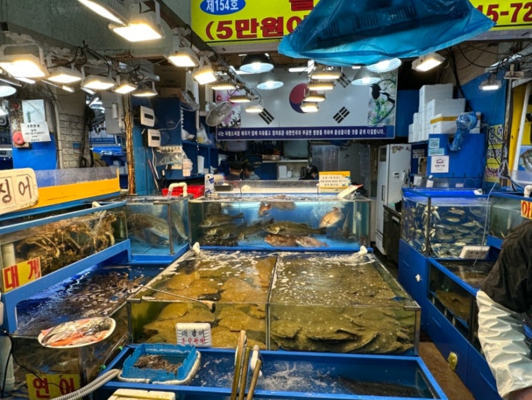 금강회수산 이미지