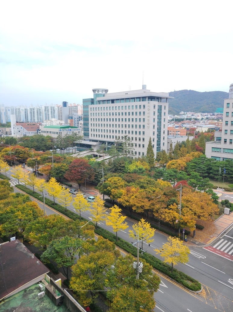 법률사무소풍경 이미지