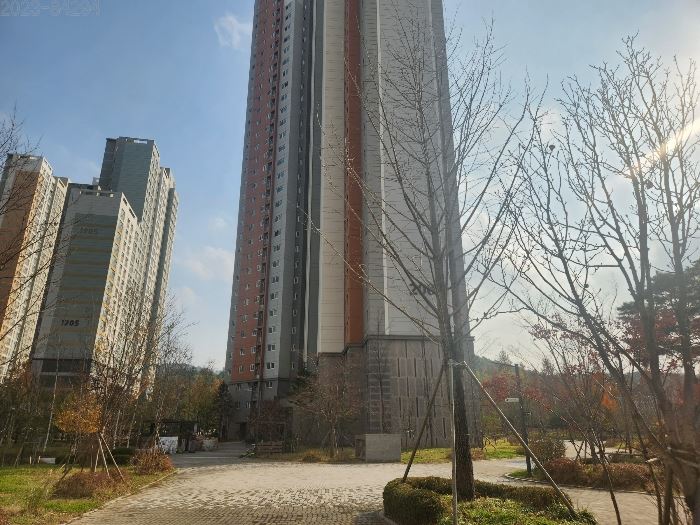 삼현초등학교 이미지
