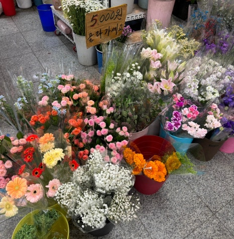 강남꽃직매장 이미지
