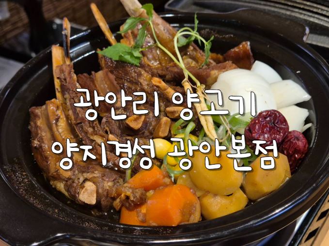 양지경성 이미지