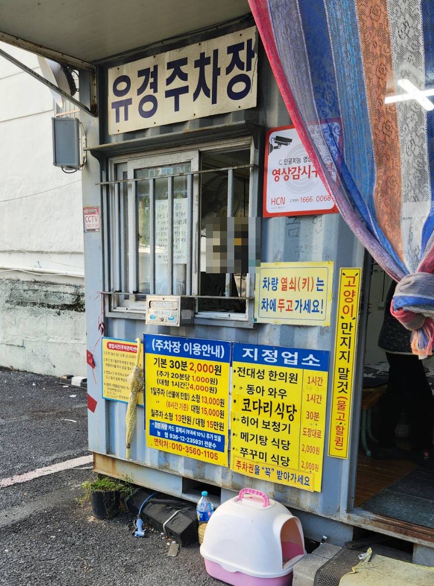 금빛코다리 이미지