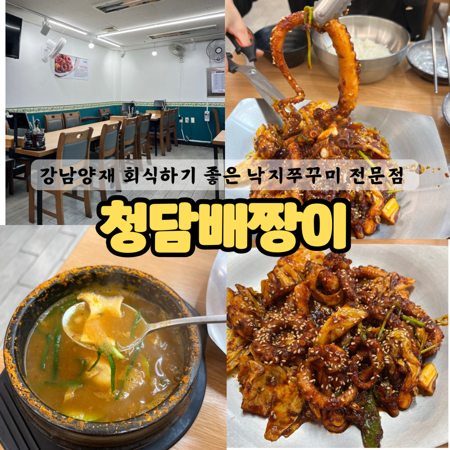 청담배짱이 이미지