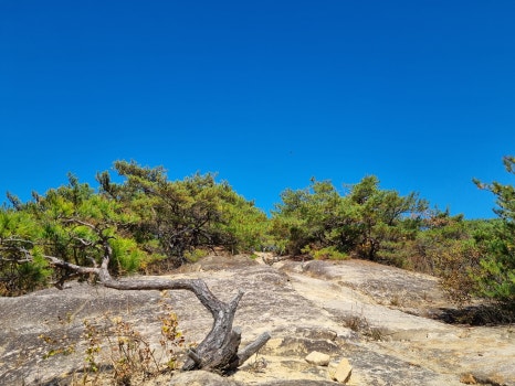 강변식당 이미지