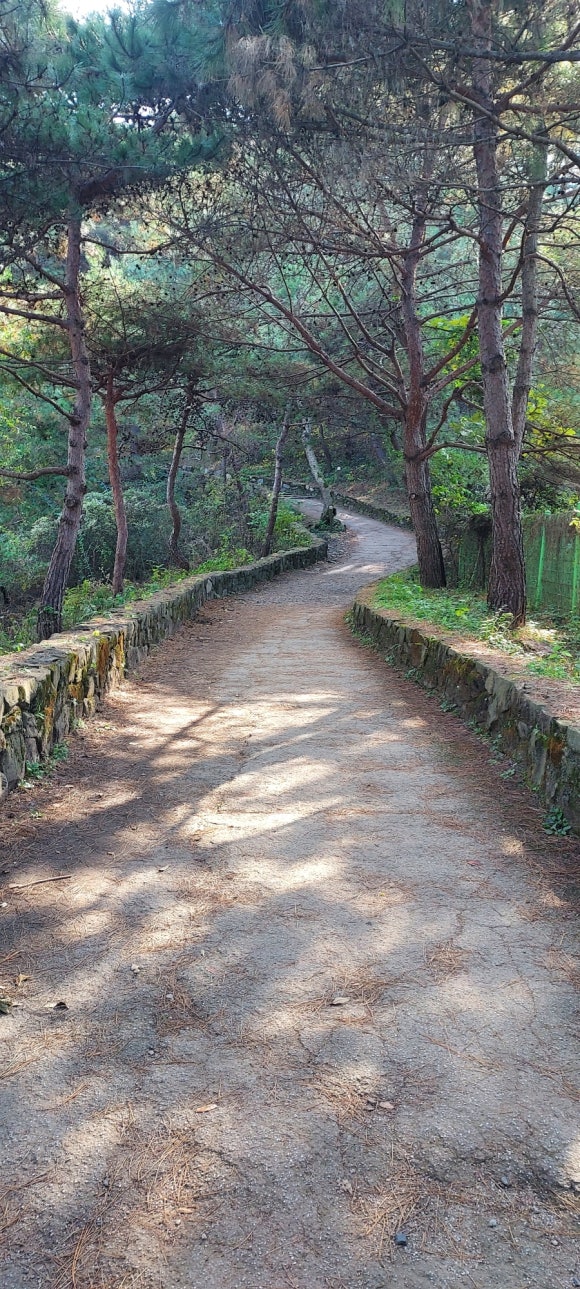 괴산호 전망 이미지