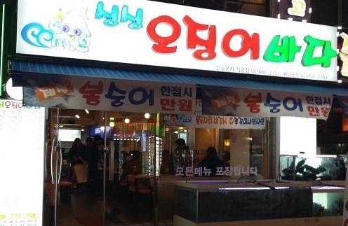 오징어바다 이미지